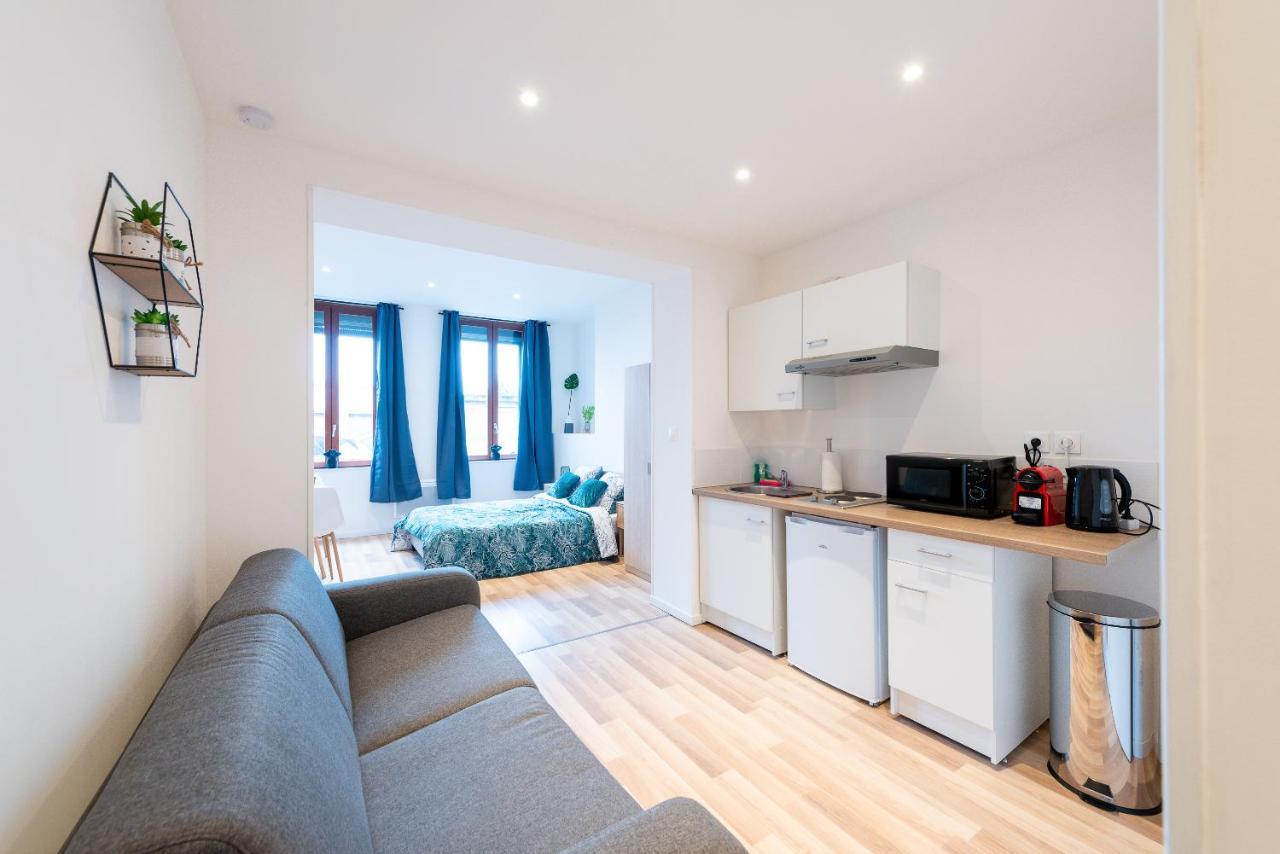 Cosy Location - Confortable, Cosy Et Equipe - Places Gratuites A Proximite Anzin Екстериор снимка