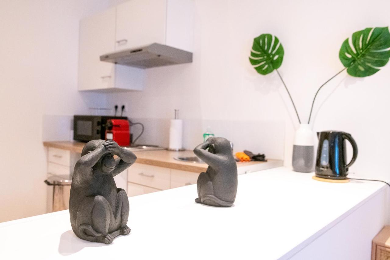 Cosy Location - Confortable, Cosy Et Equipe - Places Gratuites A Proximite Anzin Екстериор снимка